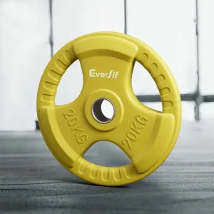 20kg Cast Iron Rubber Coated Weight Plate - Everfit