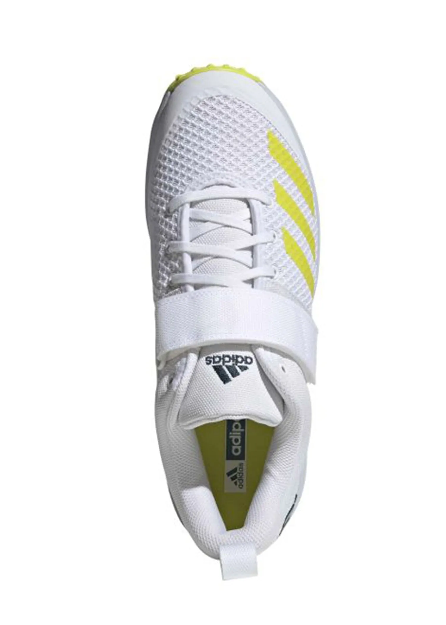 Adidas Adipower Vector  Cricket Spike Shoes