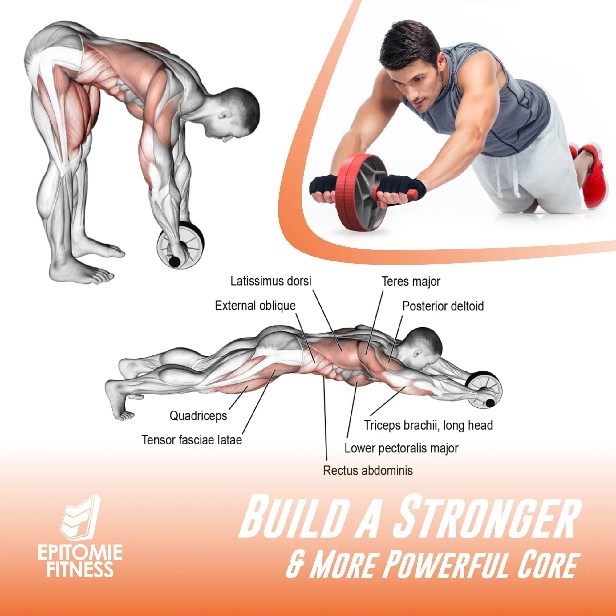 BIO Core Ab Roller