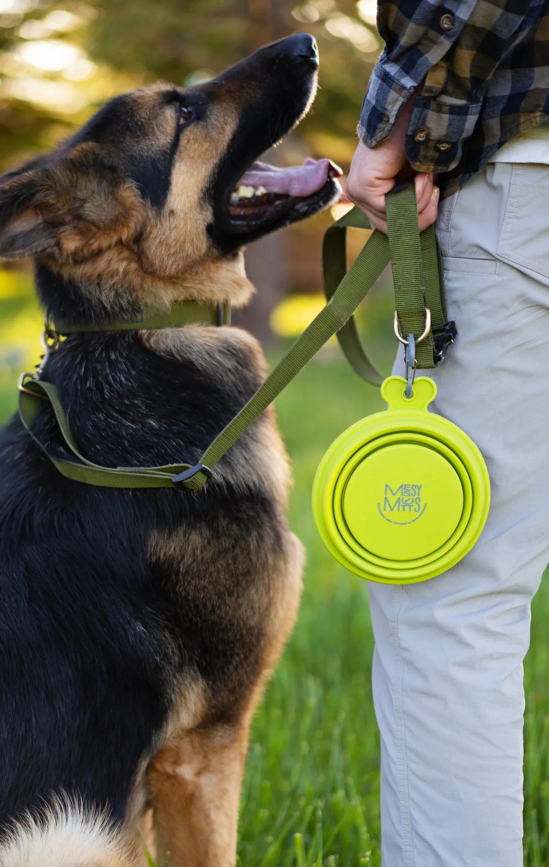 Silicone Collapsible Dog Bowl, Large , 3 Cup Travel Dog Bowl