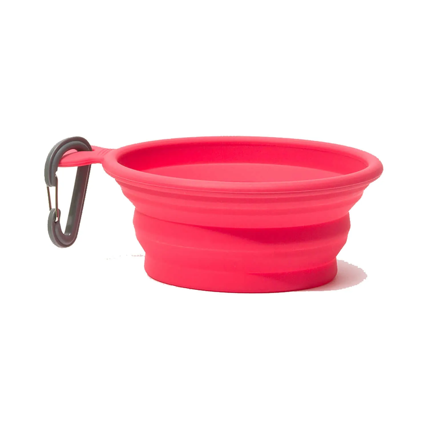 Silicone Collapsible Dog Bowl, Small, 1.75 Cup Bowl