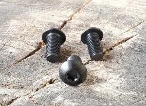 Titanium Alloy (Gr. 5) - T-30 TORX DRIVE - Black Anodized - 5/16-24 x 5/8" Button Head Screws (TWO)